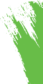 Swift Response Crypto logo with green and black design elements.